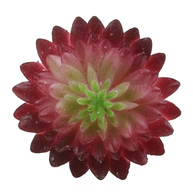 G6KF 16PCS Assorti des plantes succulentes artificielles.