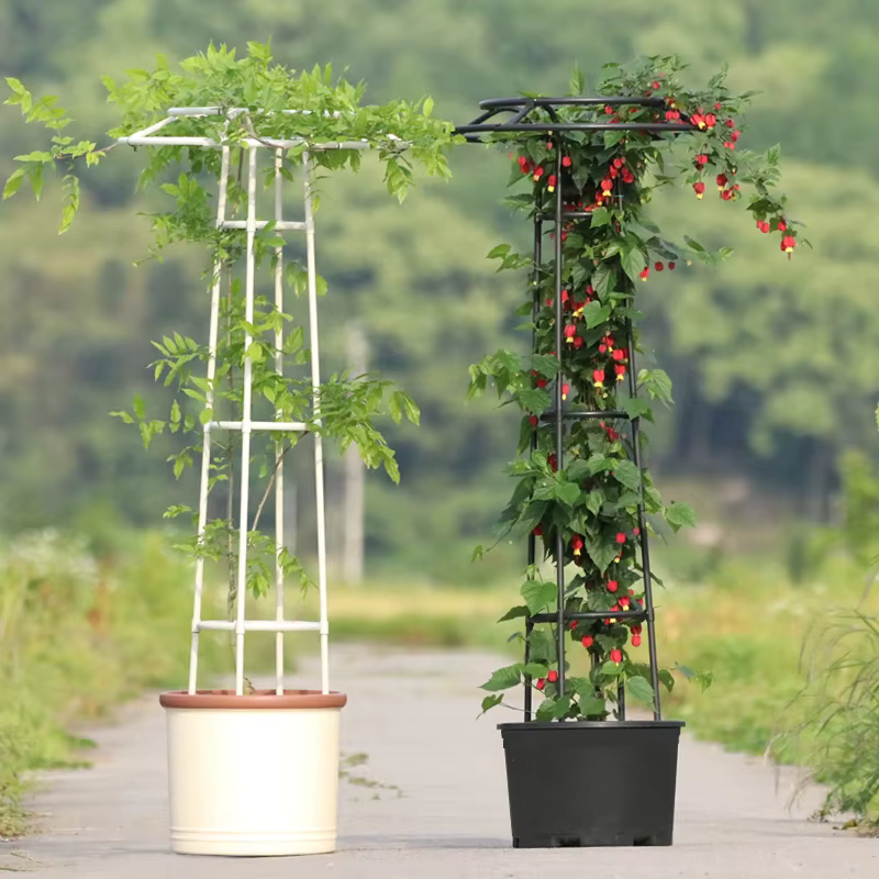 Support de plantes grimpantes en treillis de fleurs de Style parapluie
