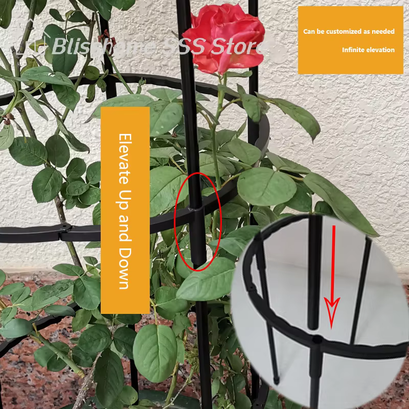 【S】1 ensemble de cages de soutien pour plantes grimpantes