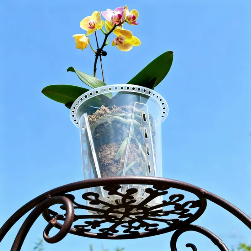 Pot de fleurs transparent 5/1x pour semis