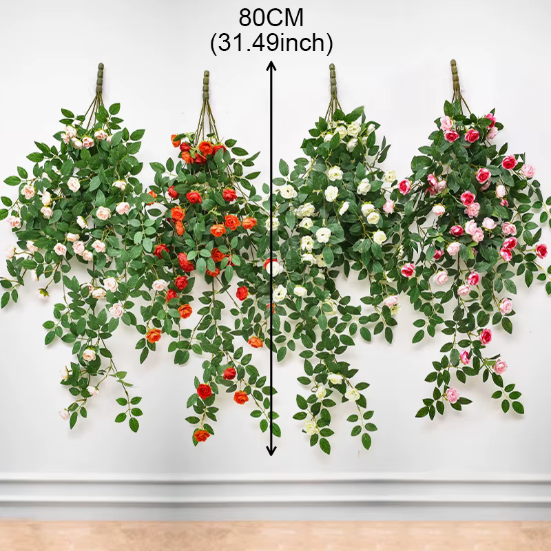 Plantes feuilles de Lierre vertes