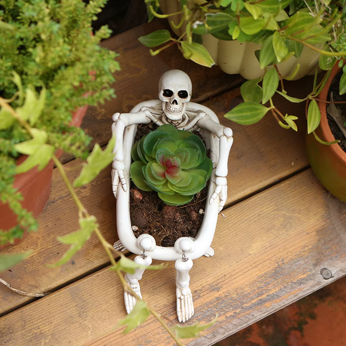 Pot de fleurs créatif en forme de crâne pour plantes succulentes