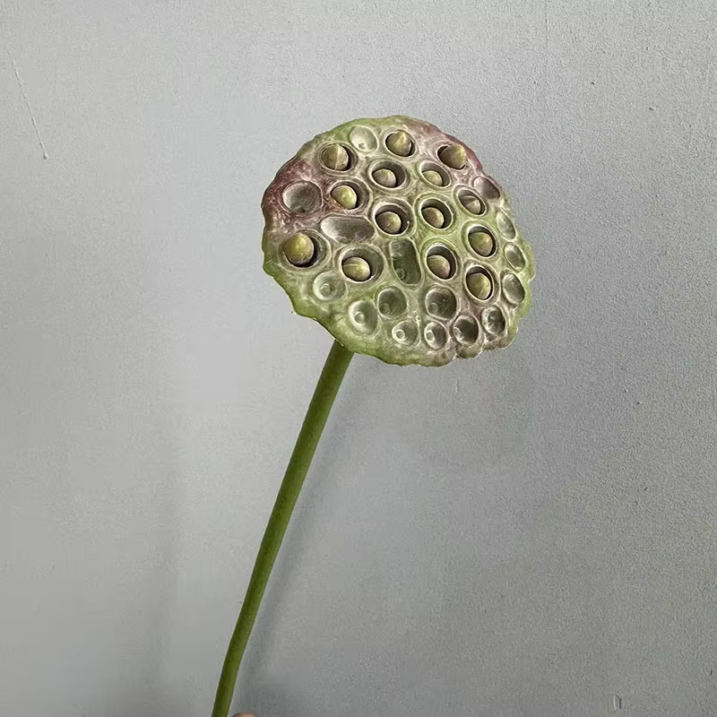 Plantes vertes artificielles du Vermont chinois