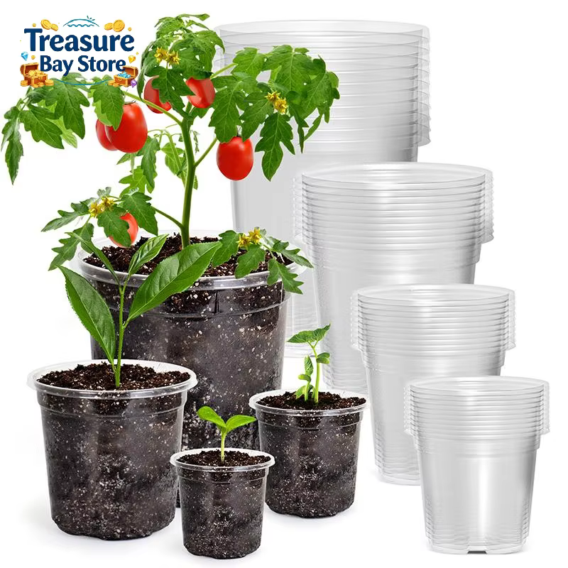 Pot de fleurs en plastique transparent avec trou de drainage