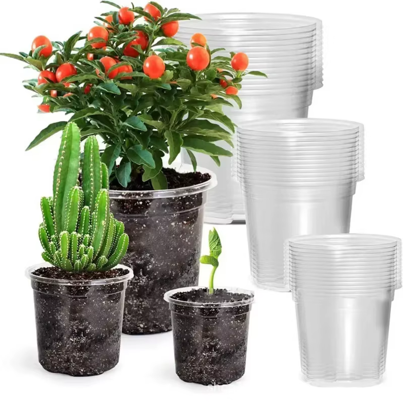 Nouveauté : Pot de pépinière transparent pour orchidées et herbes avec trou de drainage – Pot de fleurs