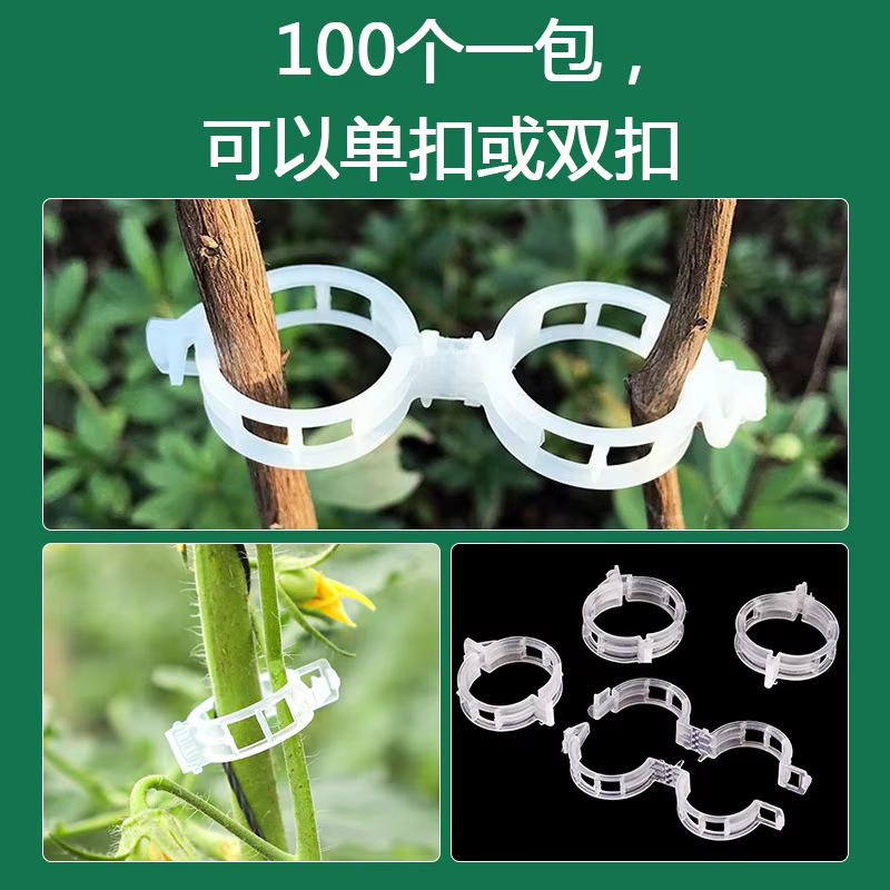 Clips de Support de plantes en plastique