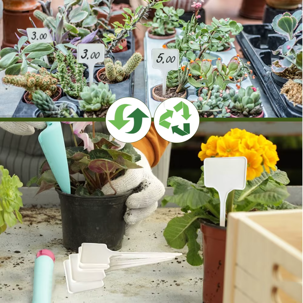 Étiquettes de plantes inscriptibles en forme de T de 15cm, étiquettes PP durables pour jardins, plantes en pot, marqueurs de serre réutilisables, signes d'identification