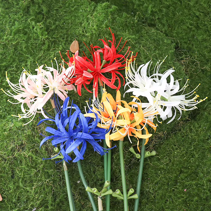 Higan – fleur de luxe à longue branche