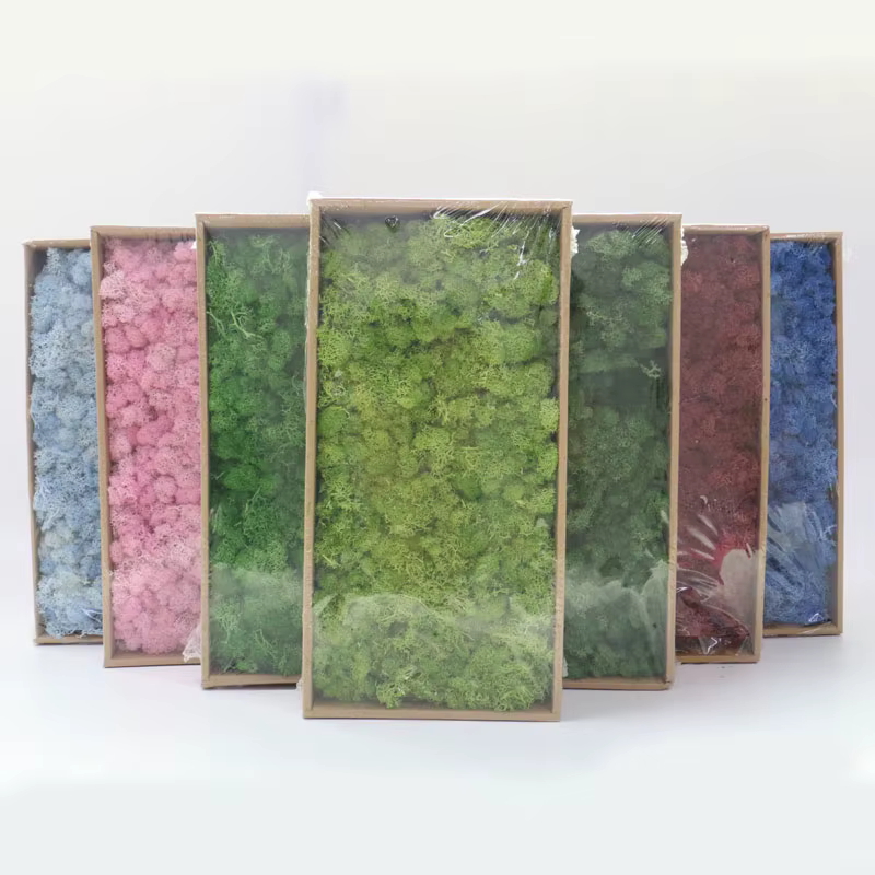 Mousse de plantes artificielles pour la décoration murale de la maison