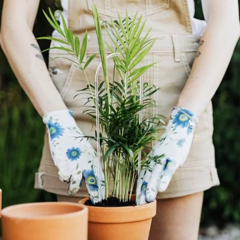 Support de plante en acrylique en forme de U de qualité supérieure