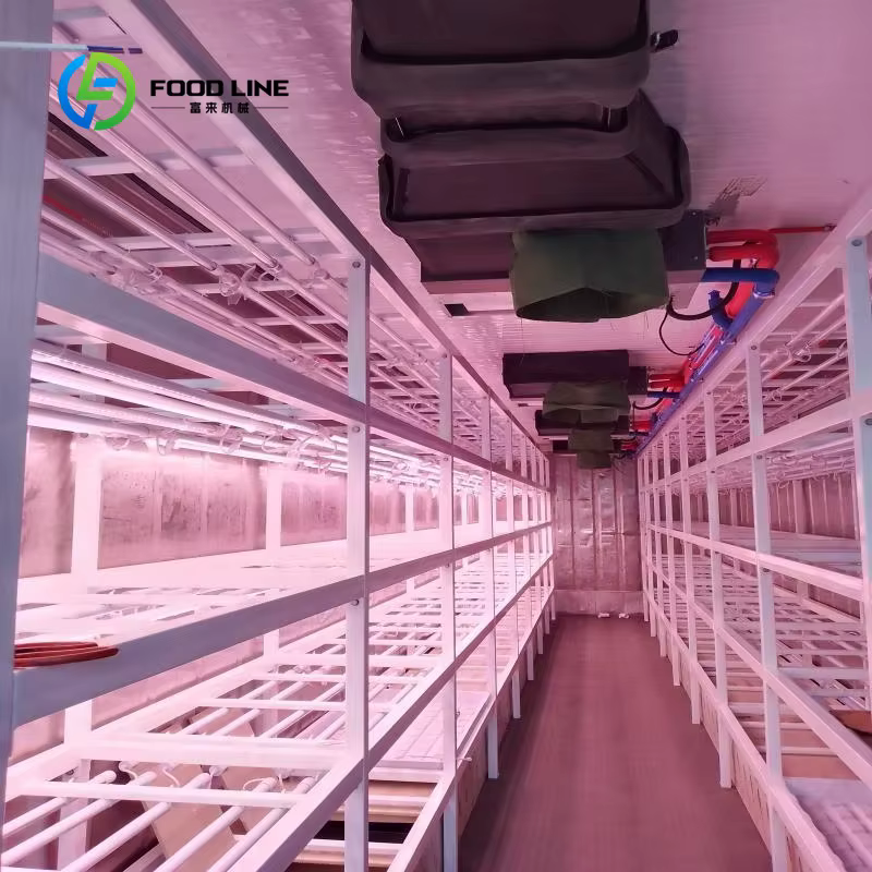 Systèmes d'agriculture verticale en serre hydroponique pour la production de laitues et de légumes à feuilles