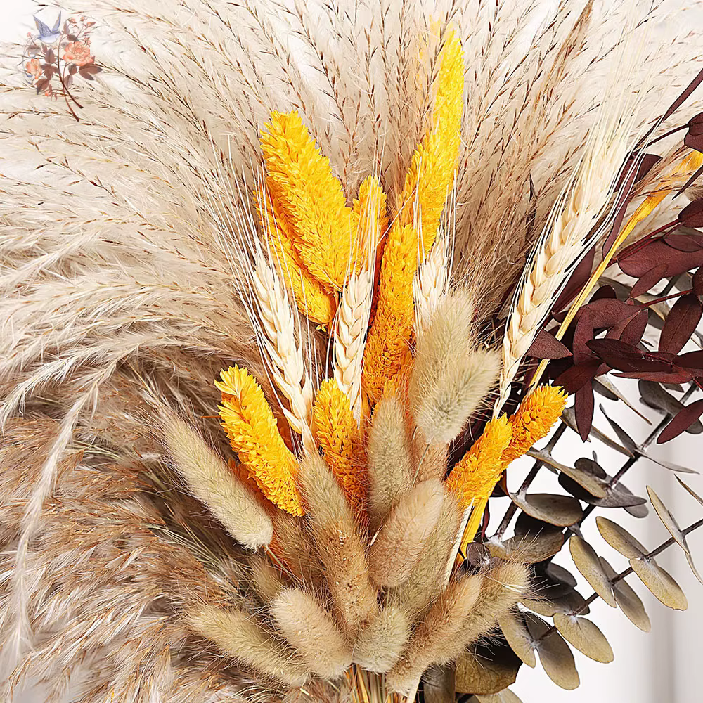 Bouquet de pampas séchées naturelles