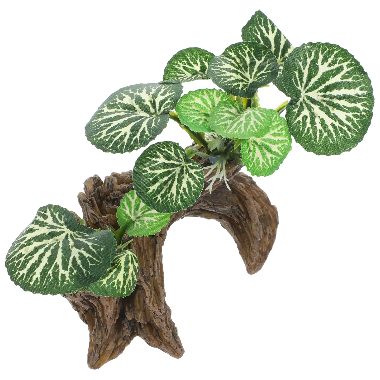 Plantes de Reptile réalistes