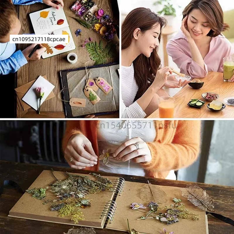 Bouquet de chrysanthèmes séchés naturels de qualité supérieure pour la fabrication de savons