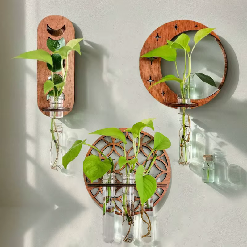 Station de propagation de plantes