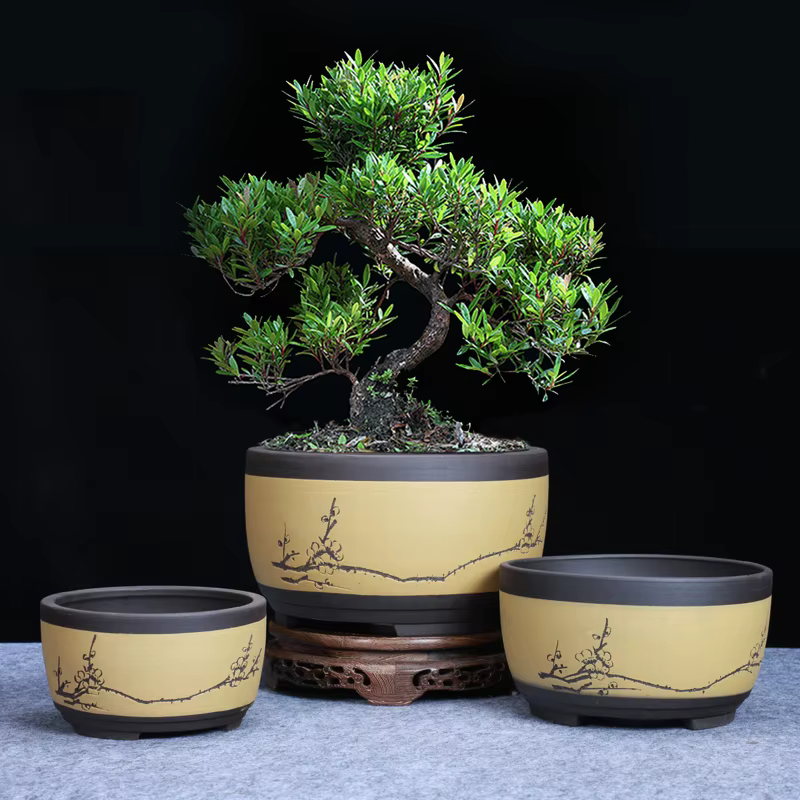 Pot de fleurs de bonsaï rond en céramique