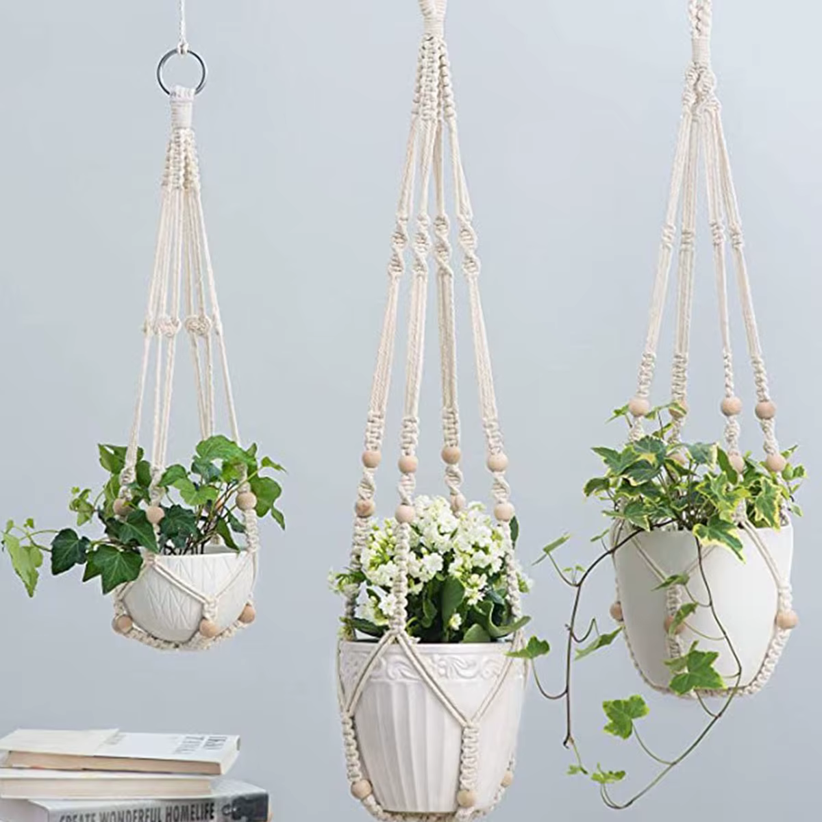 Panier suspendu pour plantes vertes de jardinage