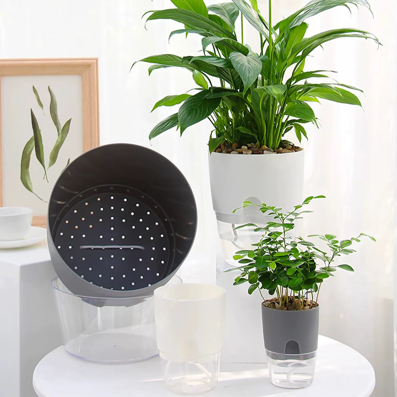 5 pots auto-arrosants, pots à fleurs à absorption d'eau