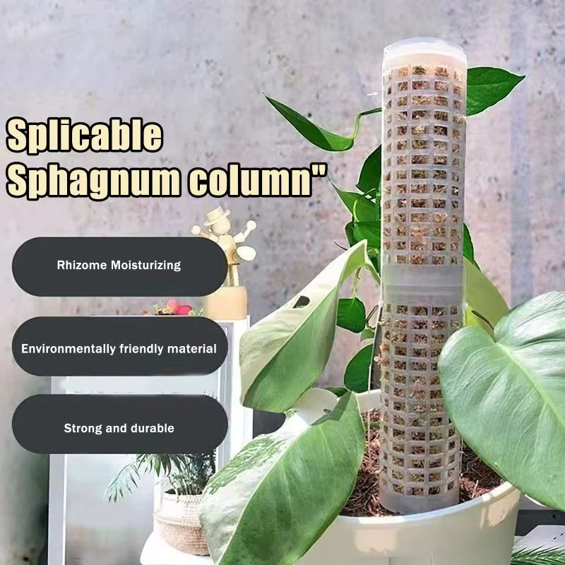 Nouveau lot de 6 supports en plastique pour plantes grimpantes d'intérieur