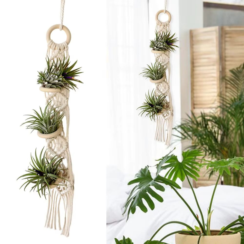 Porte-plantes en macramé pour salon intérieur