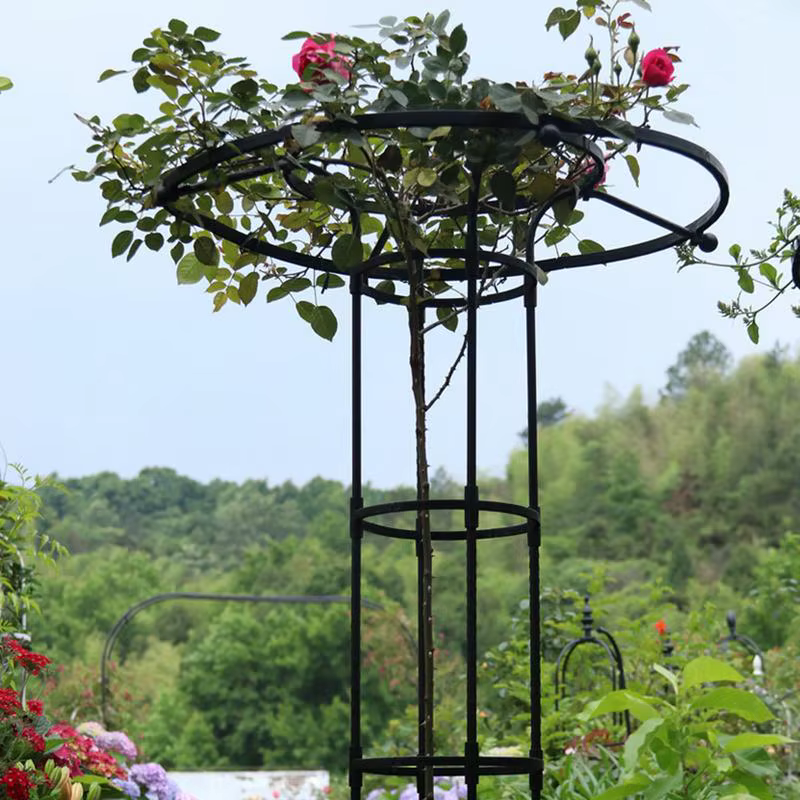 Treillis de jardin vertical en métal