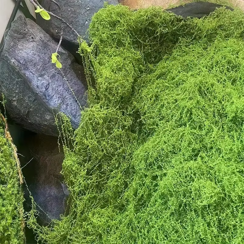 Faux mousse verte, artisanat de bricolage