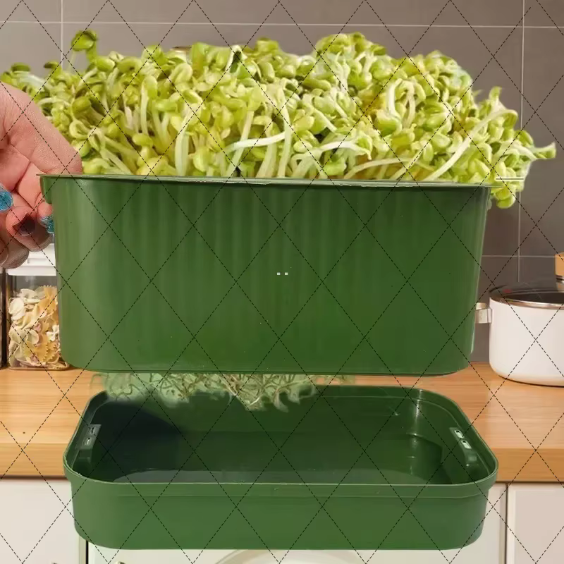 Pots de culture de légumes en plastique