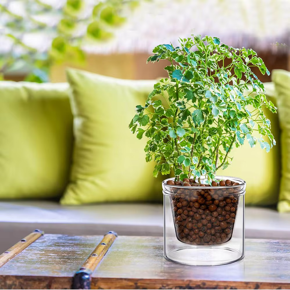 Pot auto-arrosant pour plantes d'intérieur