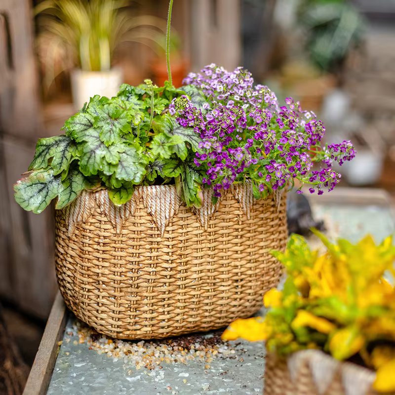 Pot de fleur en rotin tissé rustique