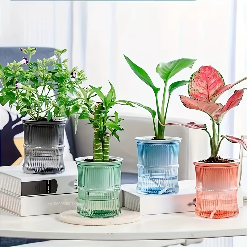 Pot de Fleurs en Plastique Transparent à Double Couche à Absorption d'Eau existent