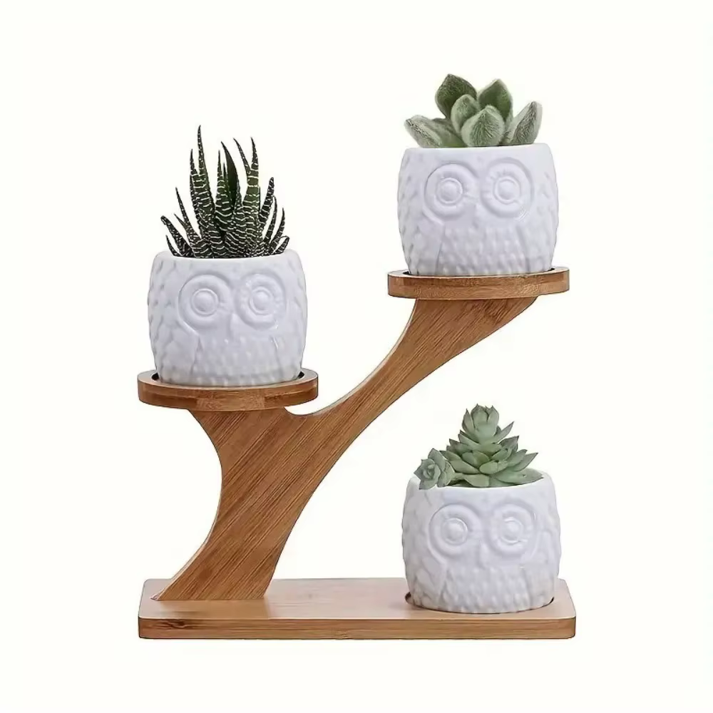 Étagère en bambou pour fleurs de bureau