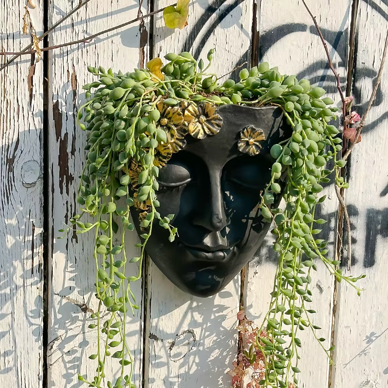 Pot de fleurs mural créatif en forme de visage