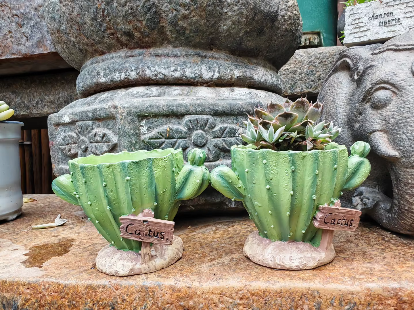 Pot de fleurs pour cactus