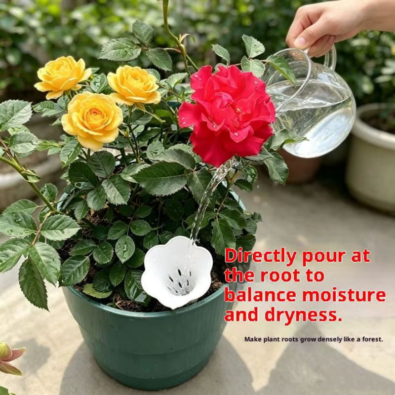Dispositif d'arrosage respirant pour plantes