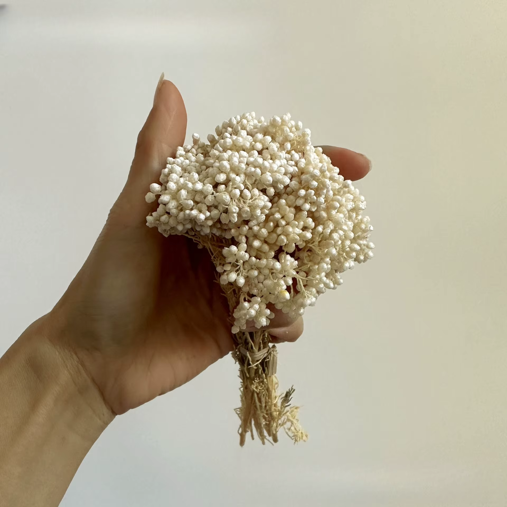 Fleurs de riz séchées naturelles