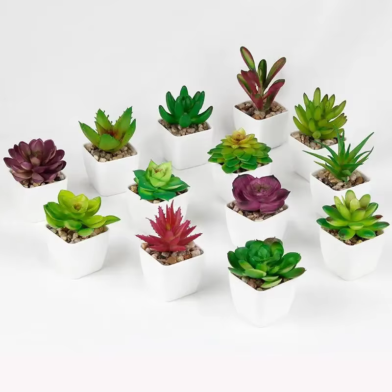 Plantes vertes succulentes artificielles