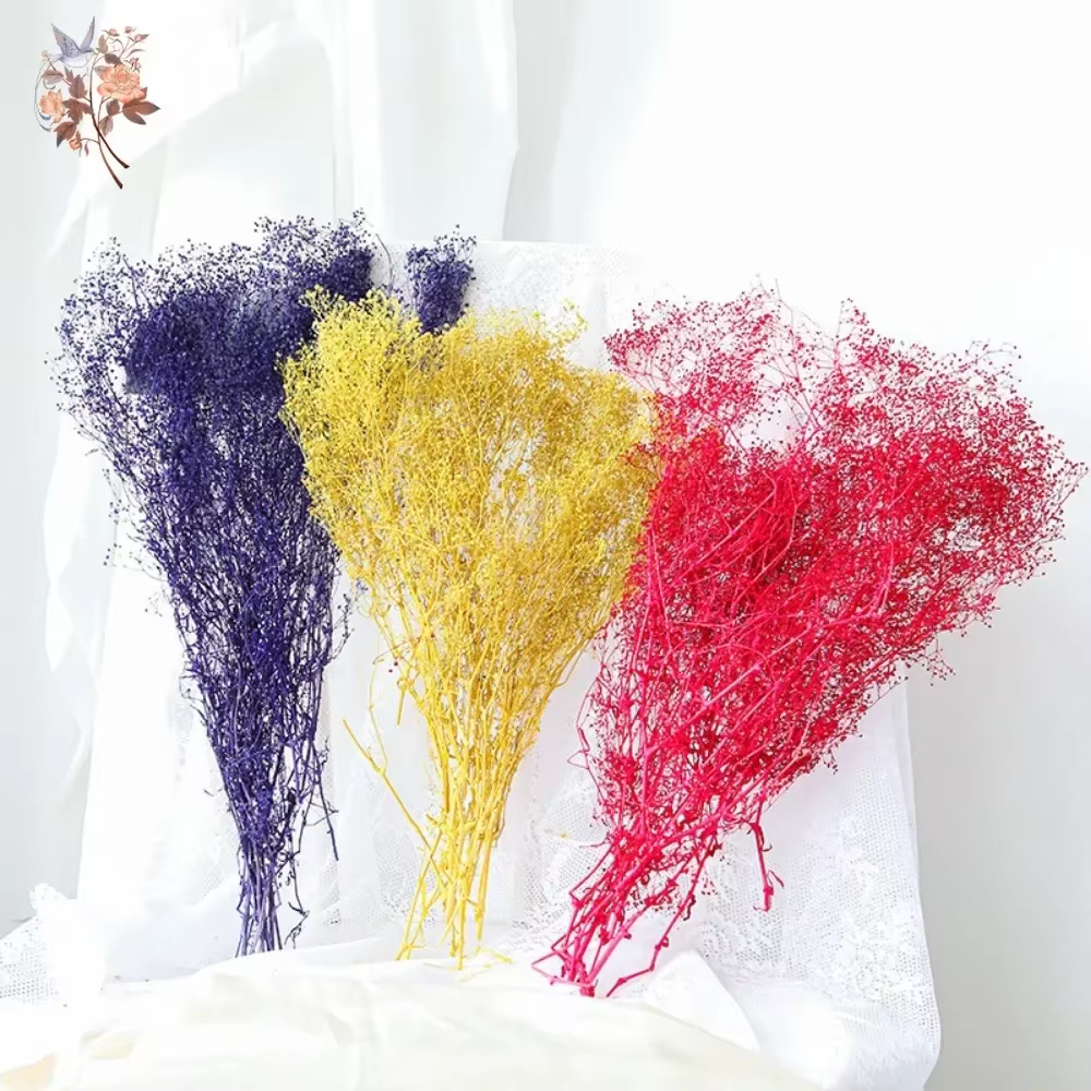 Bouquet de fleurs séchées naturelles