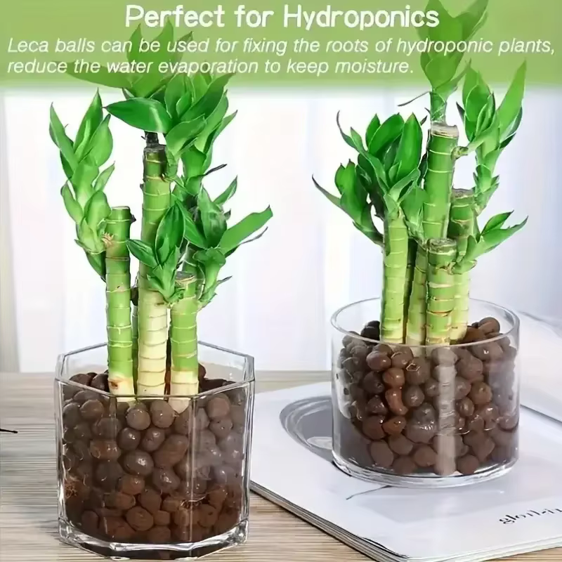 Boules d'argile médicamenteuses élargies hydroponiques de jardin
