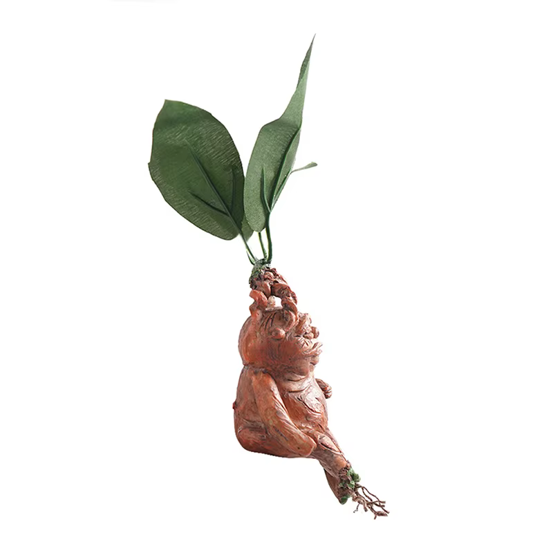 Mandrake herbe résine Statue paysage ornement Art Figurine artisanat pour jardin extérieur cour salon chambre cadeau