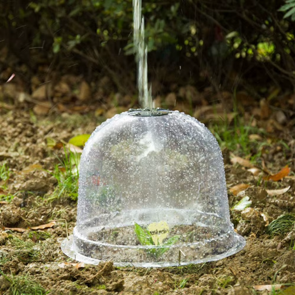 Cloche de protection des plantes réutilisable en plastique transparent