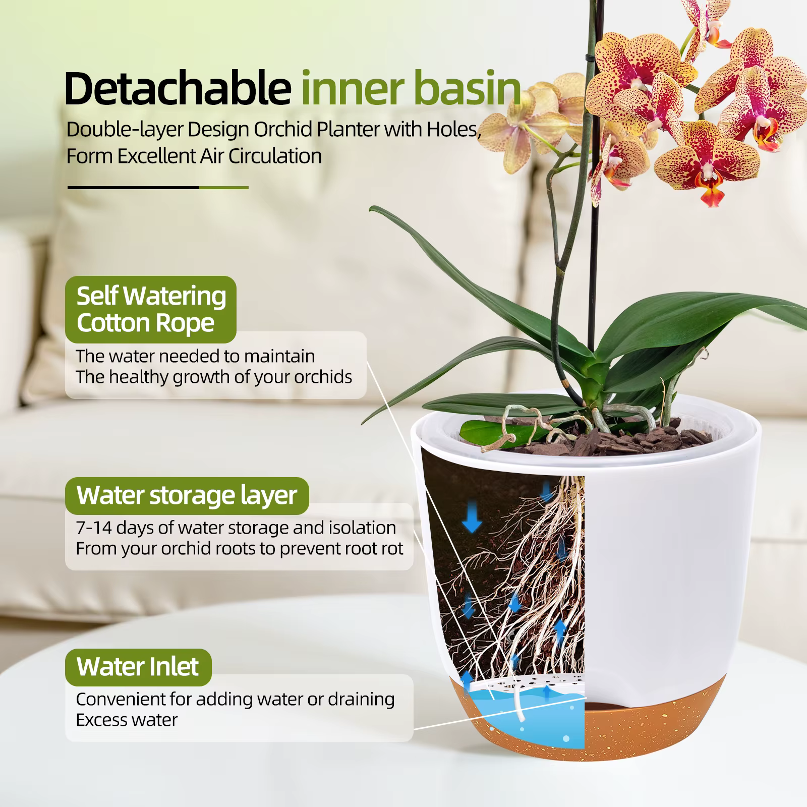Pots à orchidées avec trous