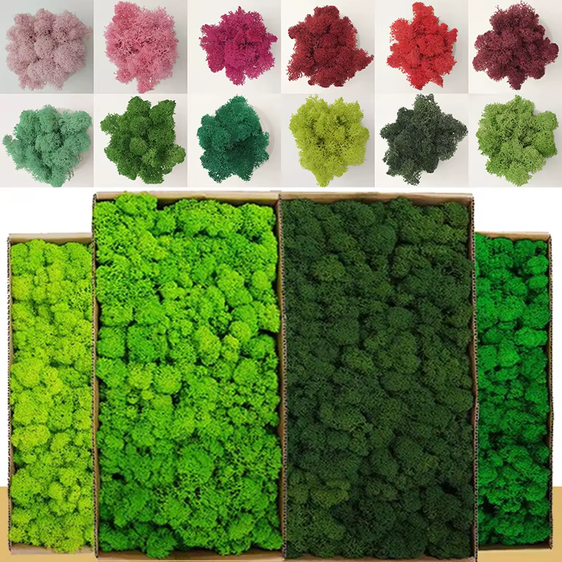 100/500/1000g pas cher HI-Q vert immortel mousse plantes d'herbe artificielle fausse fleur bricolage décor pour maison