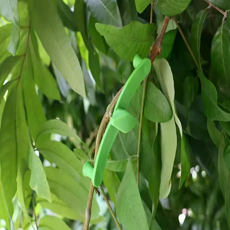 Clips de cintreuse de branches de plantes réglables