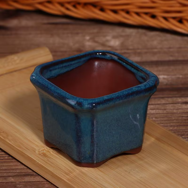 Mini pots en céramique de style chinois pour plantes succulentes