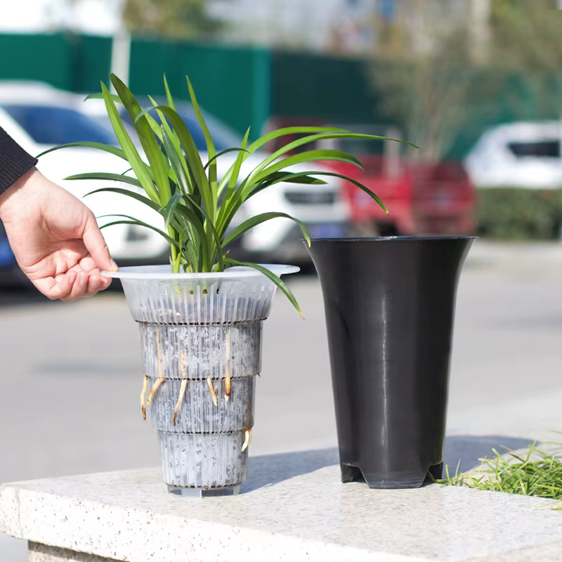 Cymbidium Orchid Pots avec trous d'air