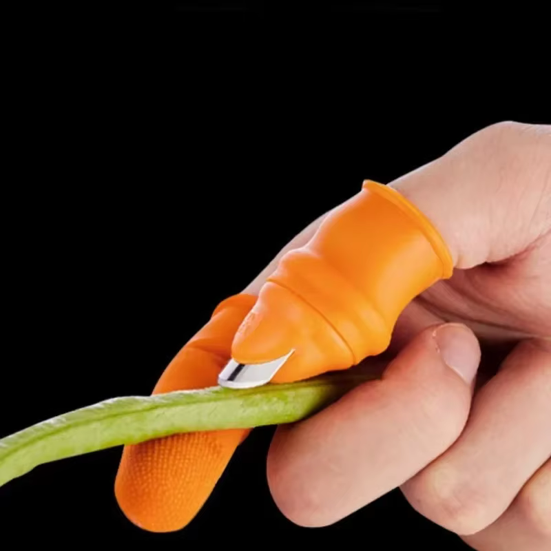 Patch de fruits et légumes de ferme pour verger de jardin