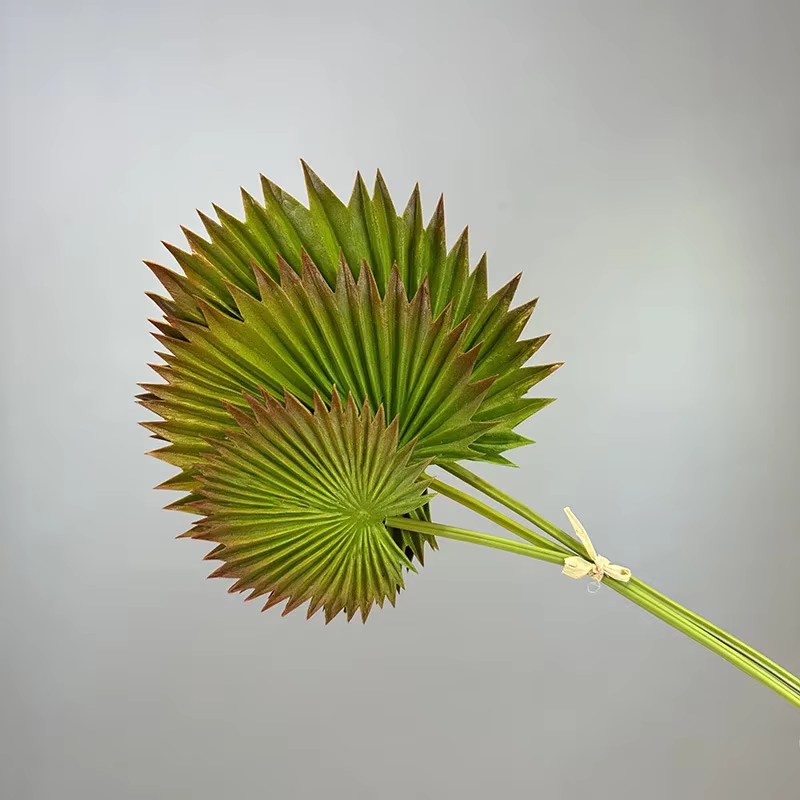 Feuilles de plantes artificielles pour décoration d'hôtel