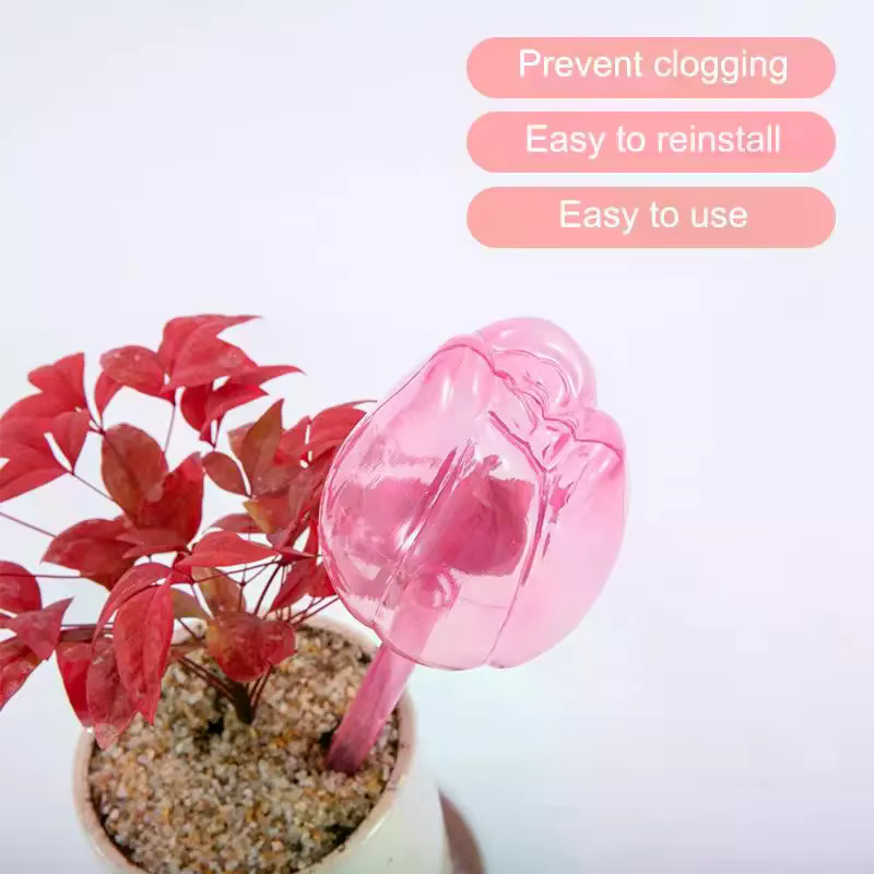 Solution élégante d'arrosage des plantes