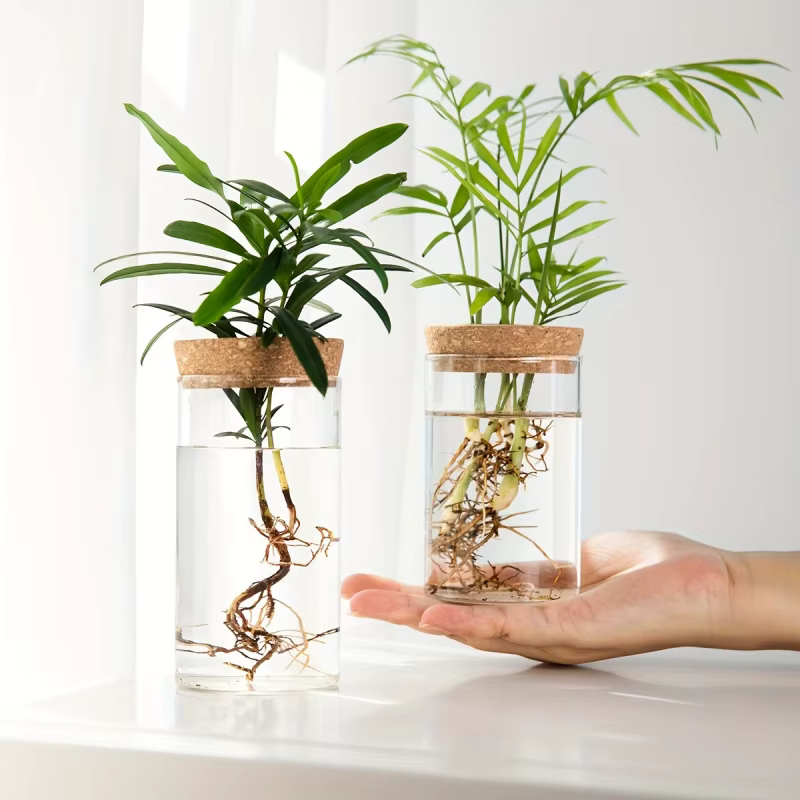 1pc, Vase de jardinière en verre de bureau pour plantes hydroponiques pour la décoration de la maison