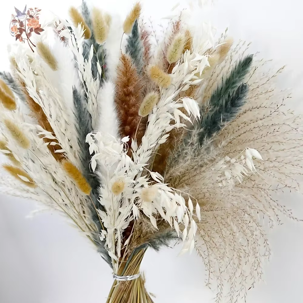 100 Pièces de Fleurs Séchées Naturelles de Pampas Moelleuses